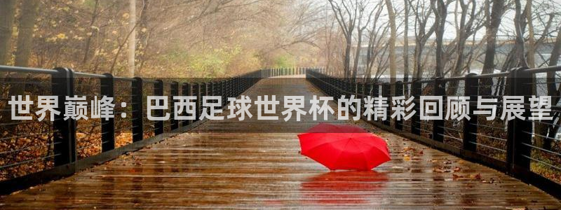 2026世界杯赛程时间表最新:世界巅峰:巴西足球世界杯的精彩回顾与展望