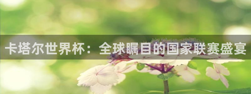 足球世界杯2026年赛程时间表:卡塔尔世界杯:全球瞩目的国家联赛盛宴