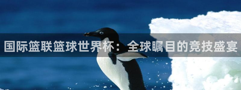 女足世界杯赛程:国际篮联篮球世界杯:全球瞩目的竞技盛宴