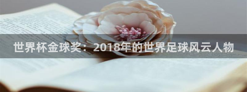 足球世界杯赛程:世界杯金球奖:2018年的世界足球风云人物
