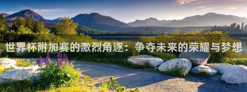 2026世界杯赛制:世界杯附加赛的激烈角逐:争夺未来的荣耀与梦想