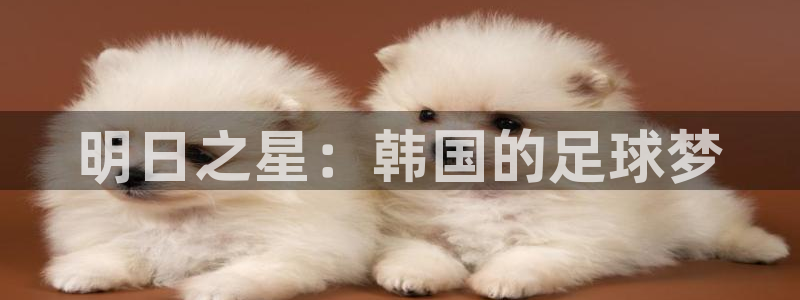 世界杯决赛直播:明日之星:韩国的足球梦