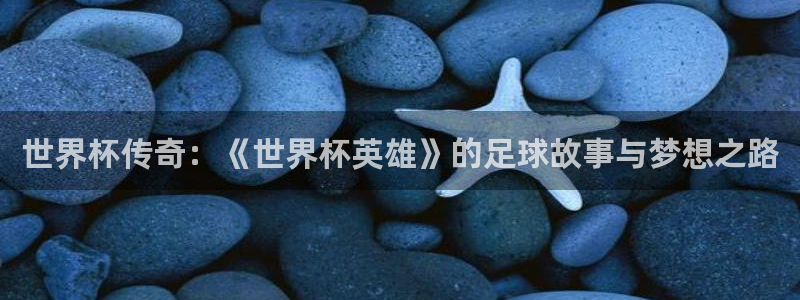 2026世界杯赛程:世界杯传奇:《世界杯英雄》的足球故事与梦想之路
