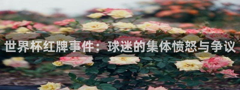 足球世界杯2026年赛程时间表:世界杯红牌事件:球迷的集体愤怒与争议