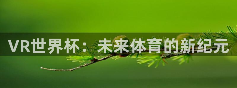 2026年世界杯直播平台:VR世界杯:未来体育的新纪元