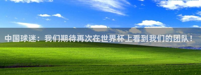 世界杯亚洲区预选赛:中国球迷:我们期待再次在世界杯上看到我们的团队!