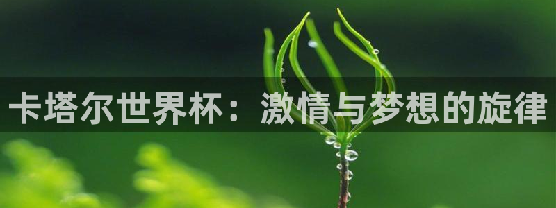 2026年世界杯直播平台:卡塔尔世界杯:激情与梦想的旋律