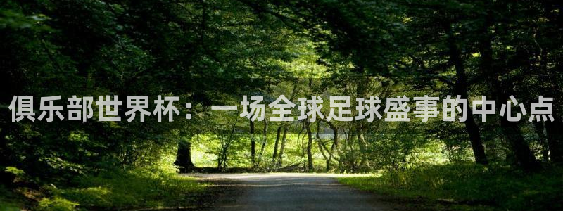 看世界杯:俱乐部世界杯:一场全球足球盛事的中心点